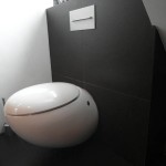 toilet (9)